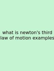 What Is Newton's Third Law Of Motion Examples