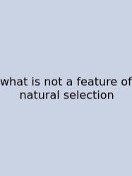 What Is Not A Feature Of Natural Selection