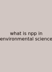 What Is Npp In Environmental Science