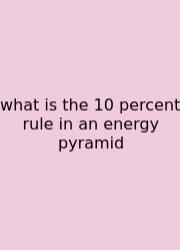 What Is The 10 Percent Rule In An Energy Pyramid