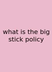 What Is The Big Stick Policy