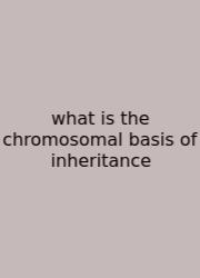 What Is The Chromosomal Basis Of Inheritance