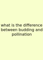 What Is The Difference Between Budding And Pollination
