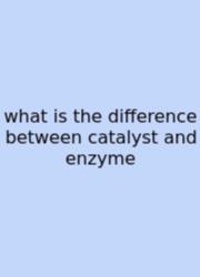 What Is The Difference Between Catalyst And Enzyme