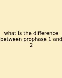 What Is The Difference Between Prophase 1 And 2