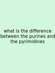 What Is The Difference Between The Purines And The Pyrimidines