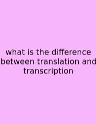 What Is The Difference Between Translation And Transcription