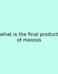 What Is The Final Product Of Meiosis