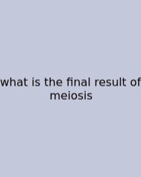 What Is The Final Result Of Meiosis
