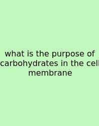 What Is The Purpose Of Carbohydrates In The Cell Membrane