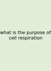 What Is The Purpose Of Cell Respiration