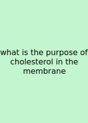 What Is The Purpose Of Cholesterol In The Membrane