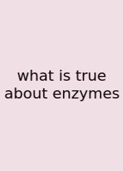 What Is True About Enzymes