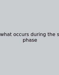 What Occurs During The S Phase