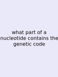 What Part Of A Nucleotide Contains The Genetic Code
