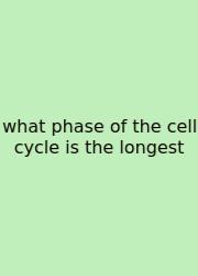 What Phase Of The Cell Cycle Is The Longest