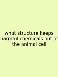 What Structure Keeps Harmful Chemicals Out Of The Animal Cell