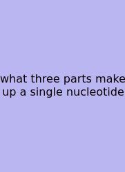 What Three Parts Make Up A Single Nucleotide