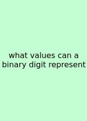 What Values Can A Binary Digit Represent