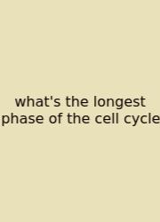 What's The Longest Phase Of The Cell Cycle