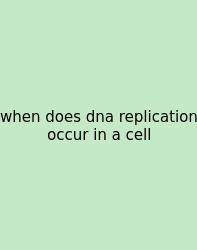 When Does Dna Replication Occur In A Cell