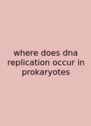 Where Does Dna Replication Occur In Prokaryotes