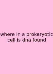 Where In A Prokaryotic Cell Is Dna Found