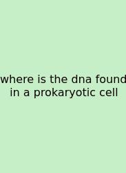 Where Is The Dna Found In A Prokaryotic Cell