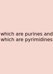 Which Are Purines And Which Are Pyrimidines