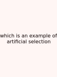 Which Is An Example Of Artificial Selection