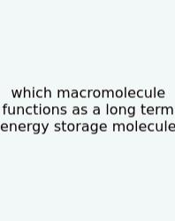 Which Macromolecule Functions As A Long Term Energy Storage Molecule