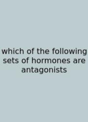 Which Of The Following Sets Of Hormones Are Antagonists