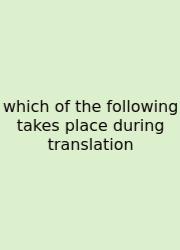 Which Of The Following Takes Place During Translation