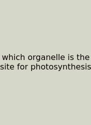 Which Organelle Is The Site For Photosynthesis