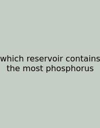 Which Reservoir Contains The Most Phosphorus