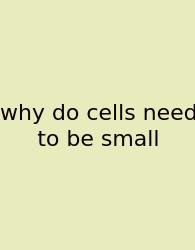 Why Do Cells Need To Be Small