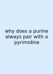 Why Does A Purine Always Pair With A Pyrimidine