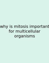 Why Is Mitosis Important For Multicellular Organisms
