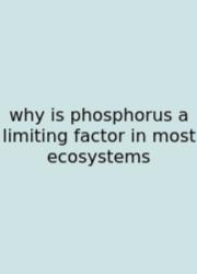 Why Is Phosphorus A Limiting Factor In Most Ecosystems