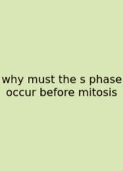 Why Must The S Phase Occur Before Mitosis