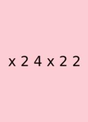 X 2 4 X 2 2