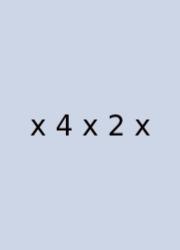 X 4 X 2 X